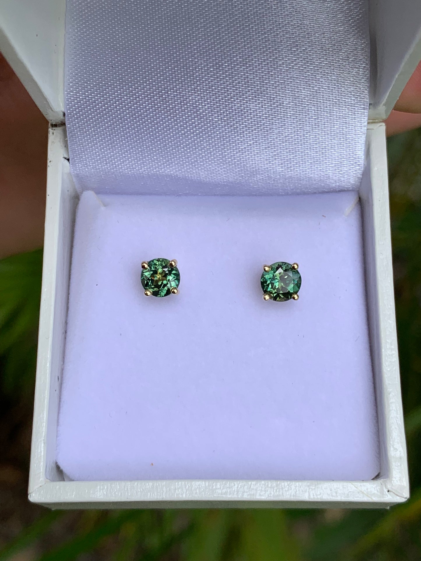 Teal Australian Sapphire Stud Earrings in box