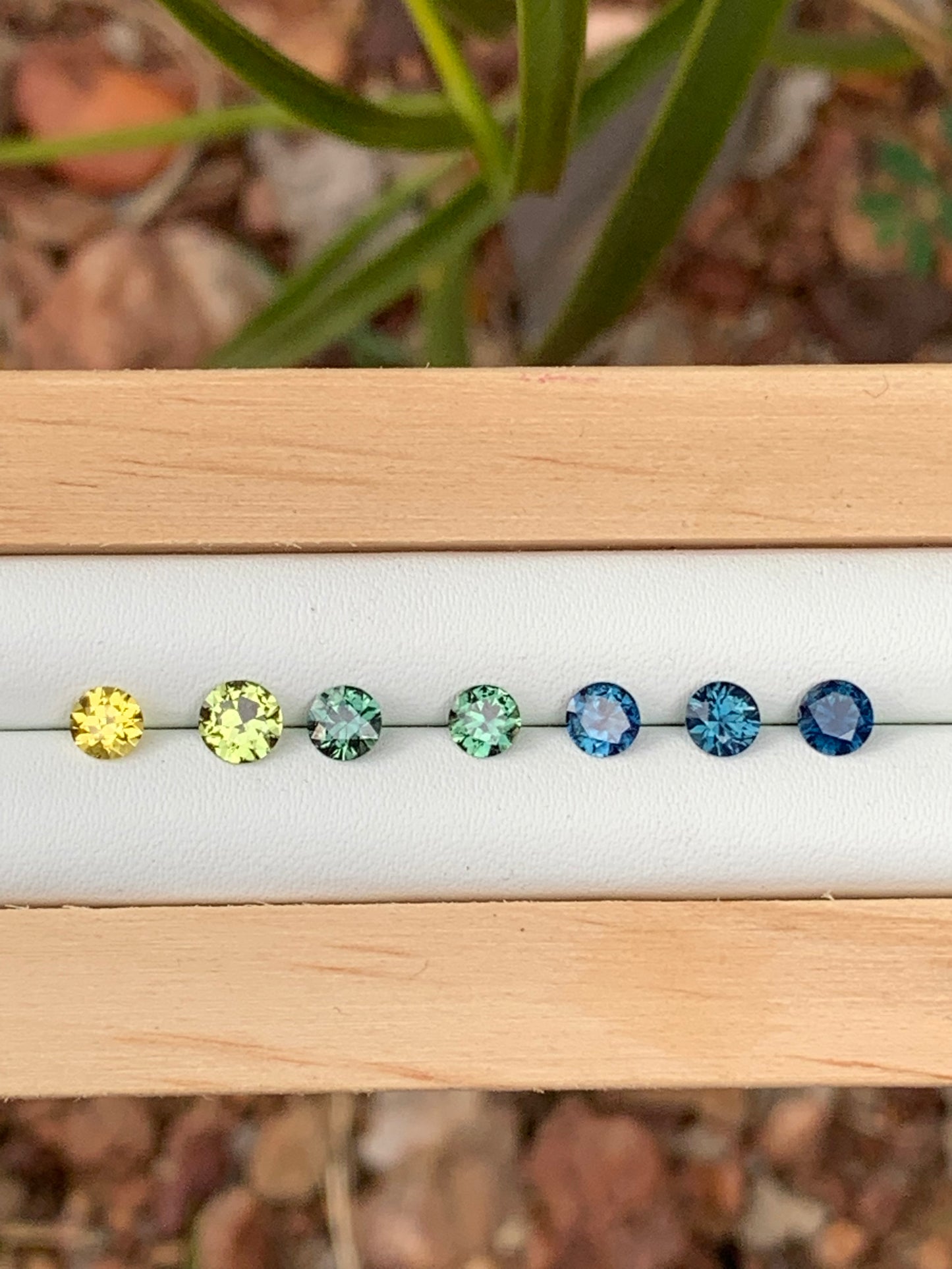 Australian Jewellery