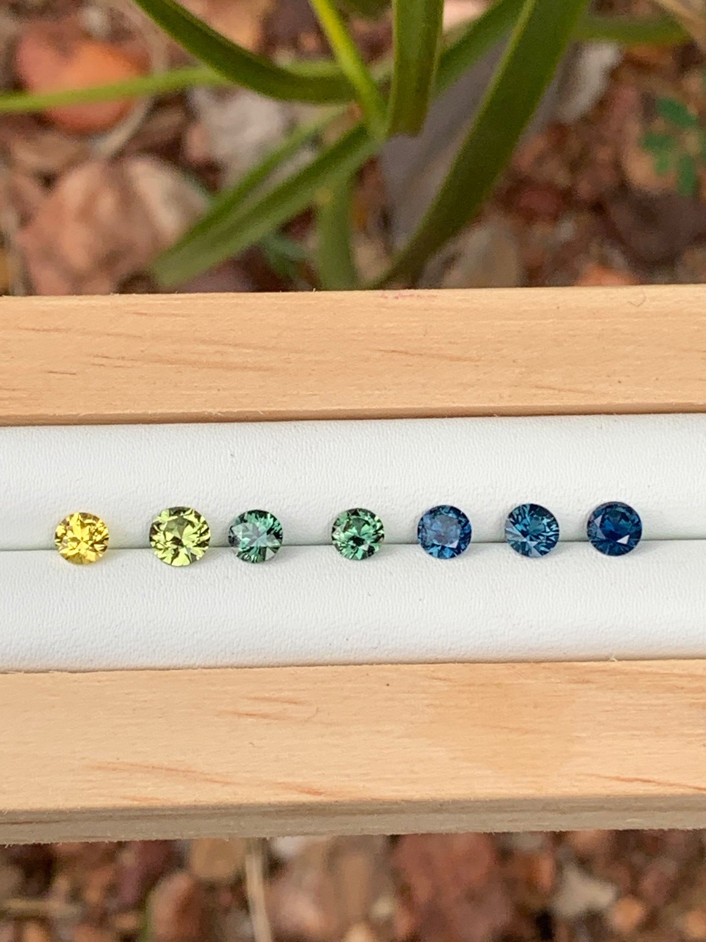 Betteridge Sapphires
