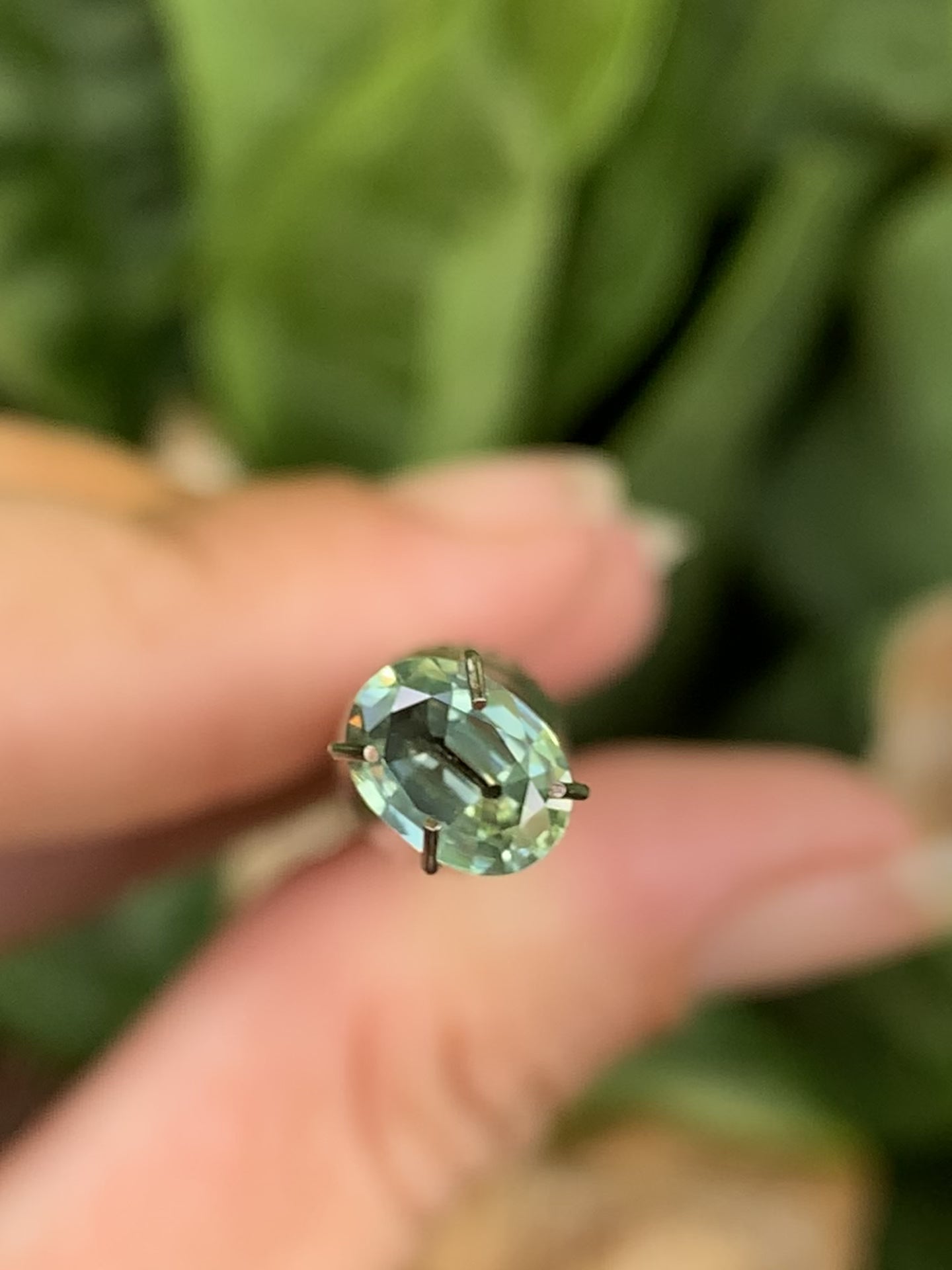 Betteridge Sapphires