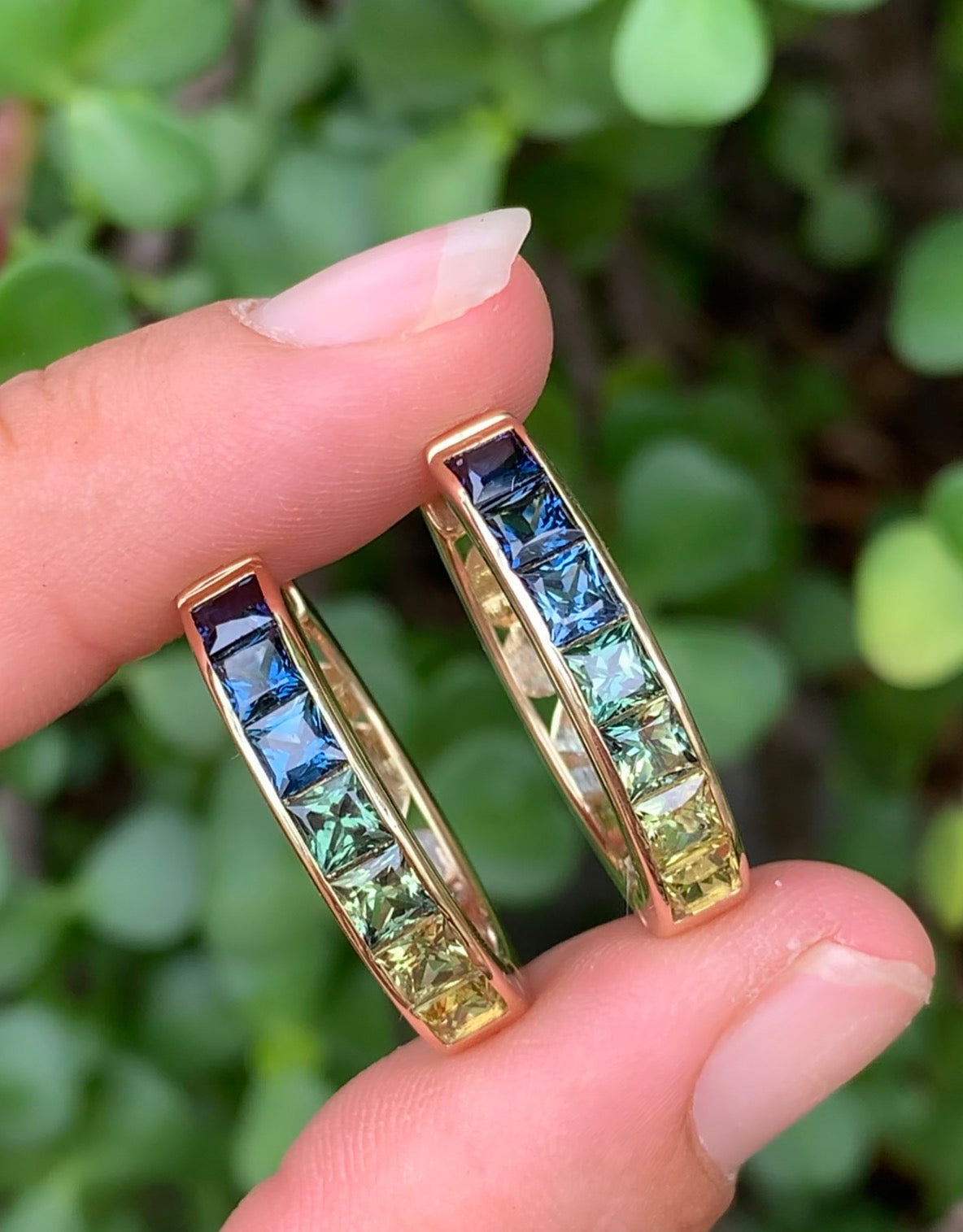 The Aurora Collection