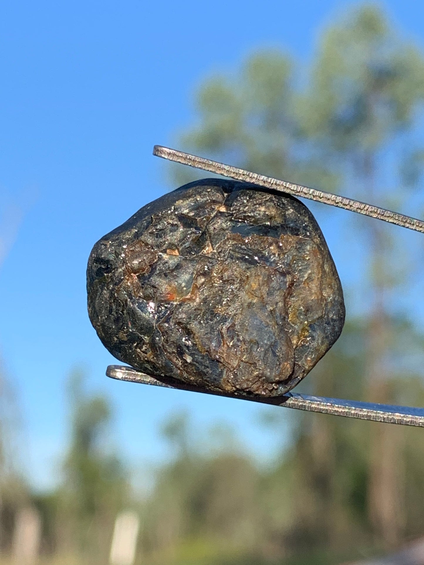 95ct Australian Sapphire Specimen