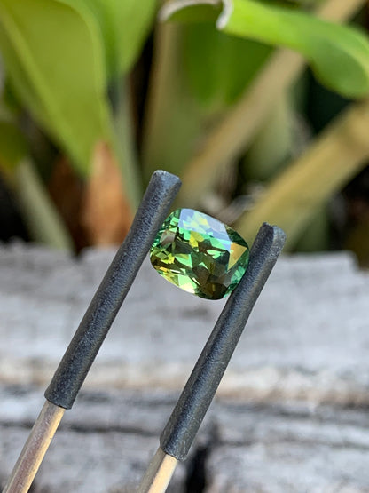 2.72ct Australian Parti Sapphire