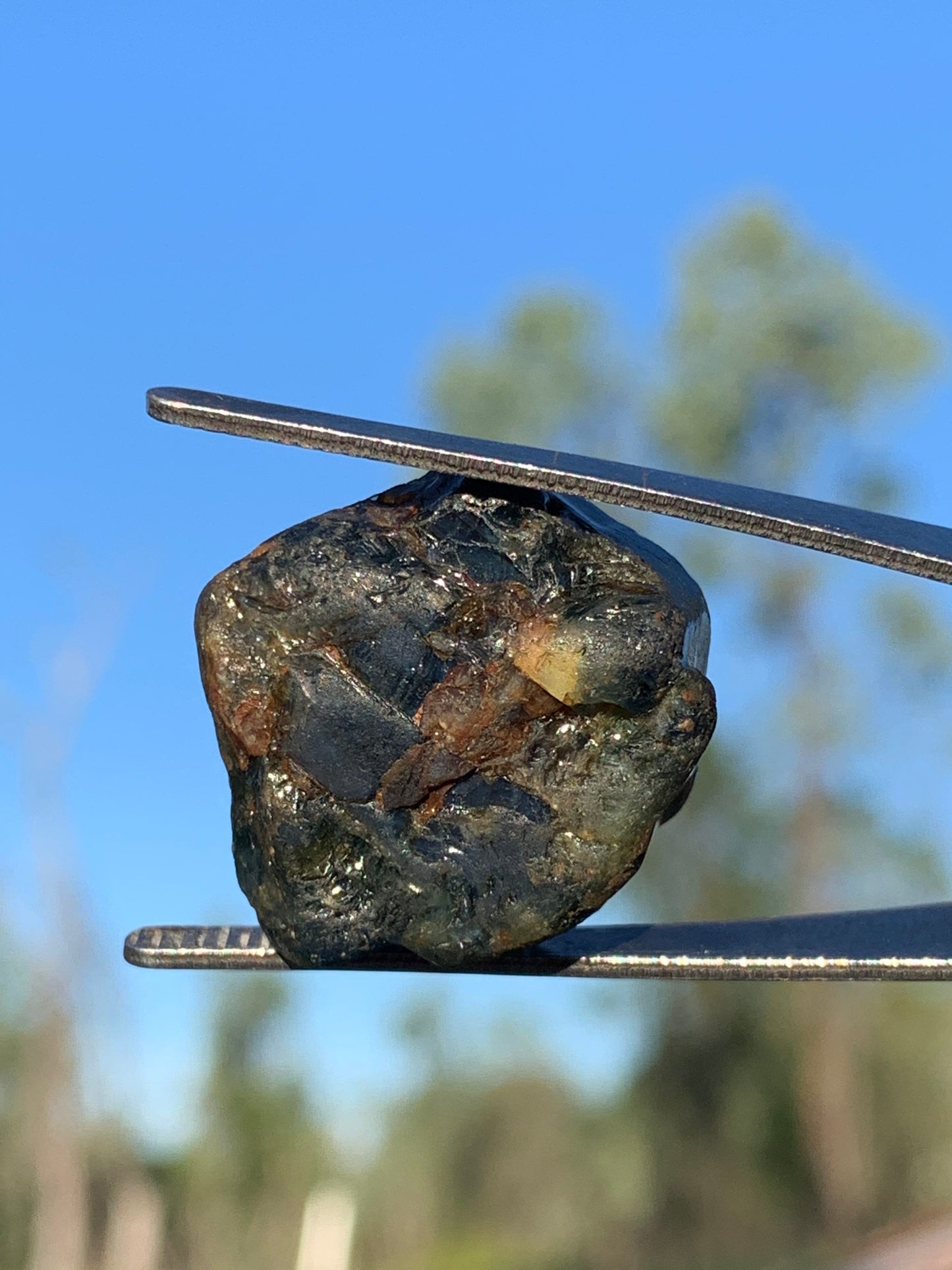 62.7ct Australian Sapphire Crystal Specimen