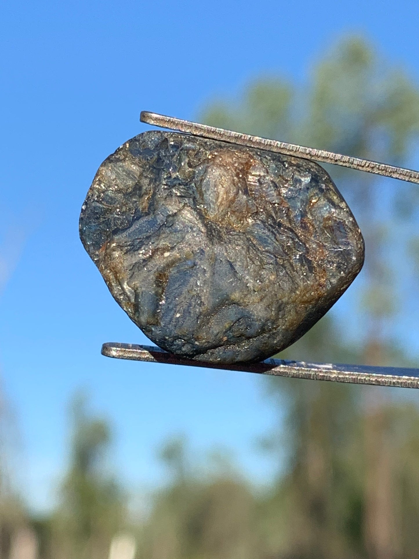 95ct Australian Sapphire Specimen