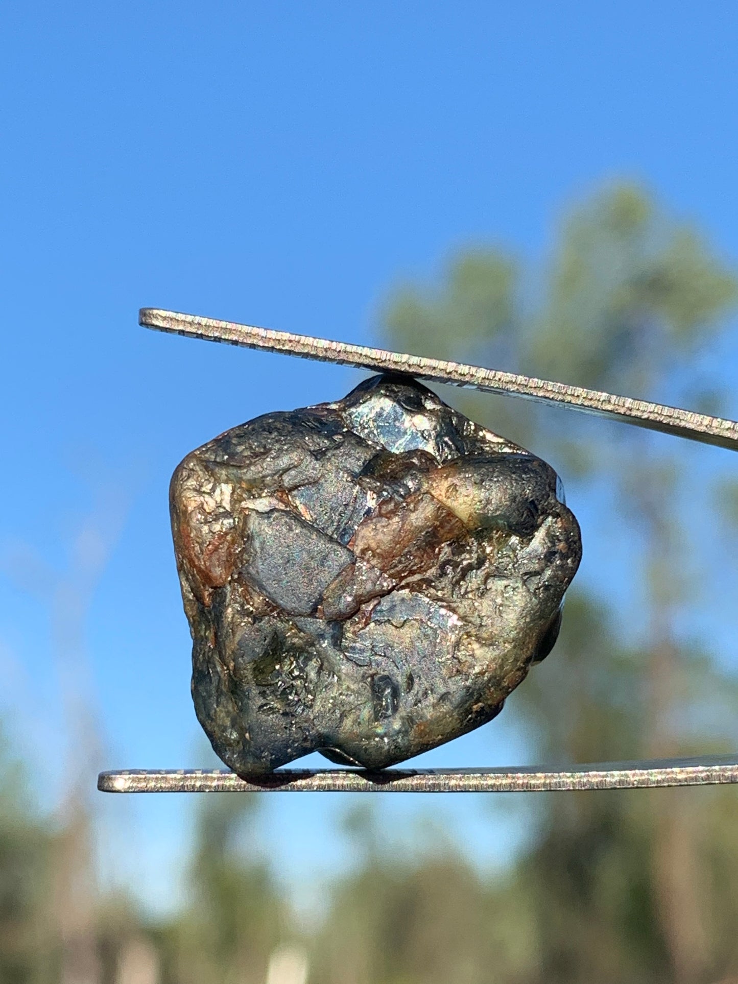 62.7ct Australian Sapphire Crystal Specimen