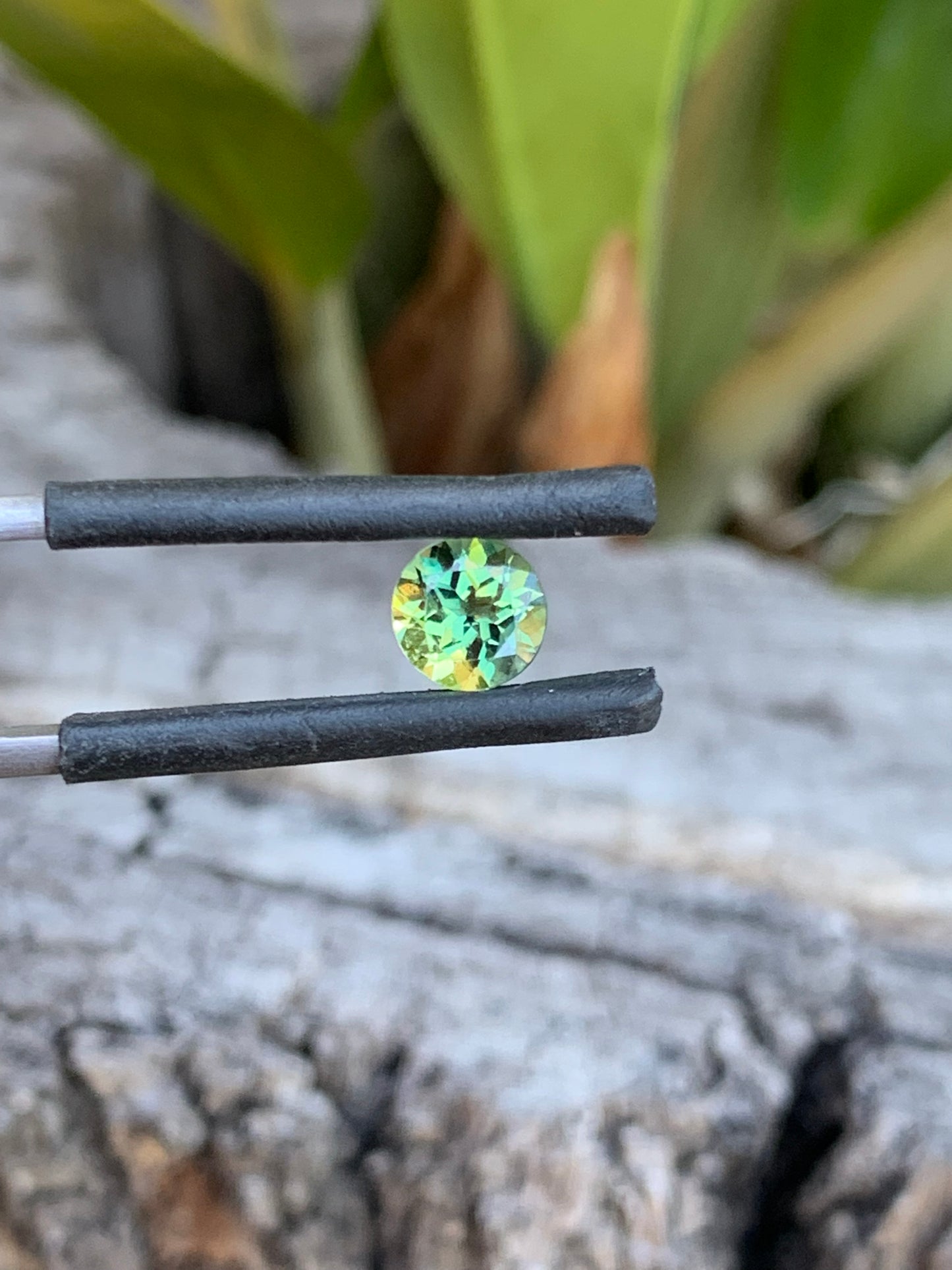 0.96ct Yellow/Green Australian Sapphire