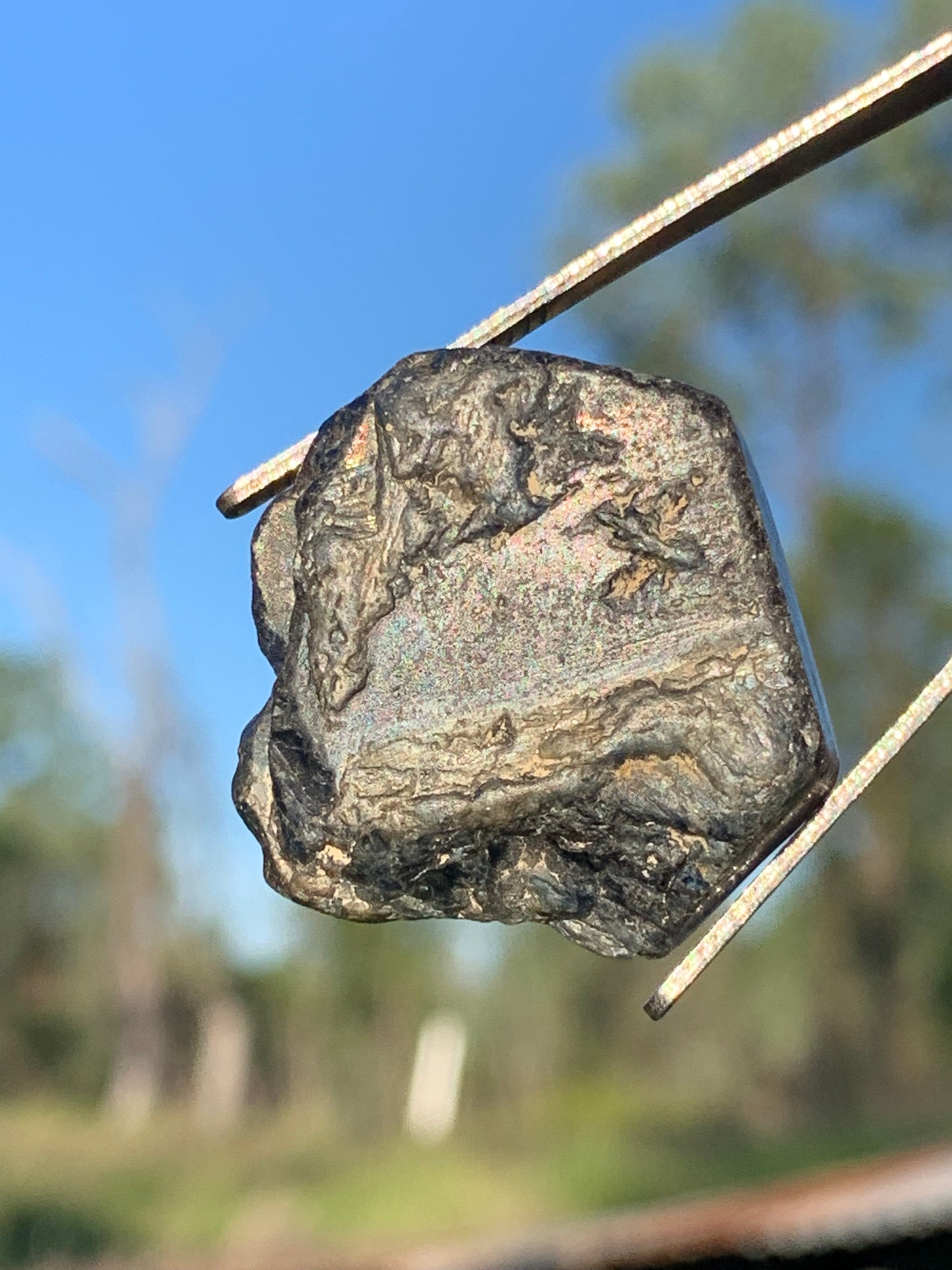 95ct Australian Sapphire Specimen