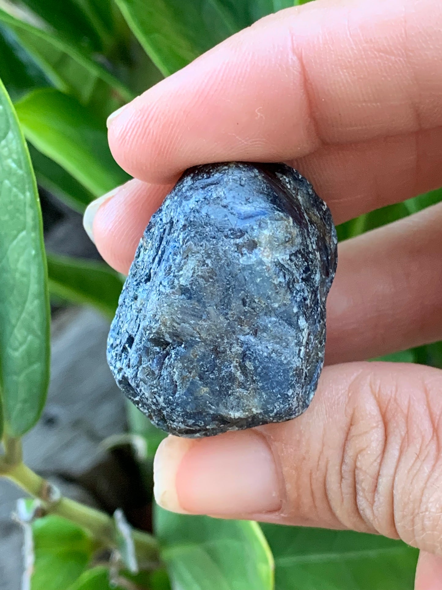 Trapiche Sapphire