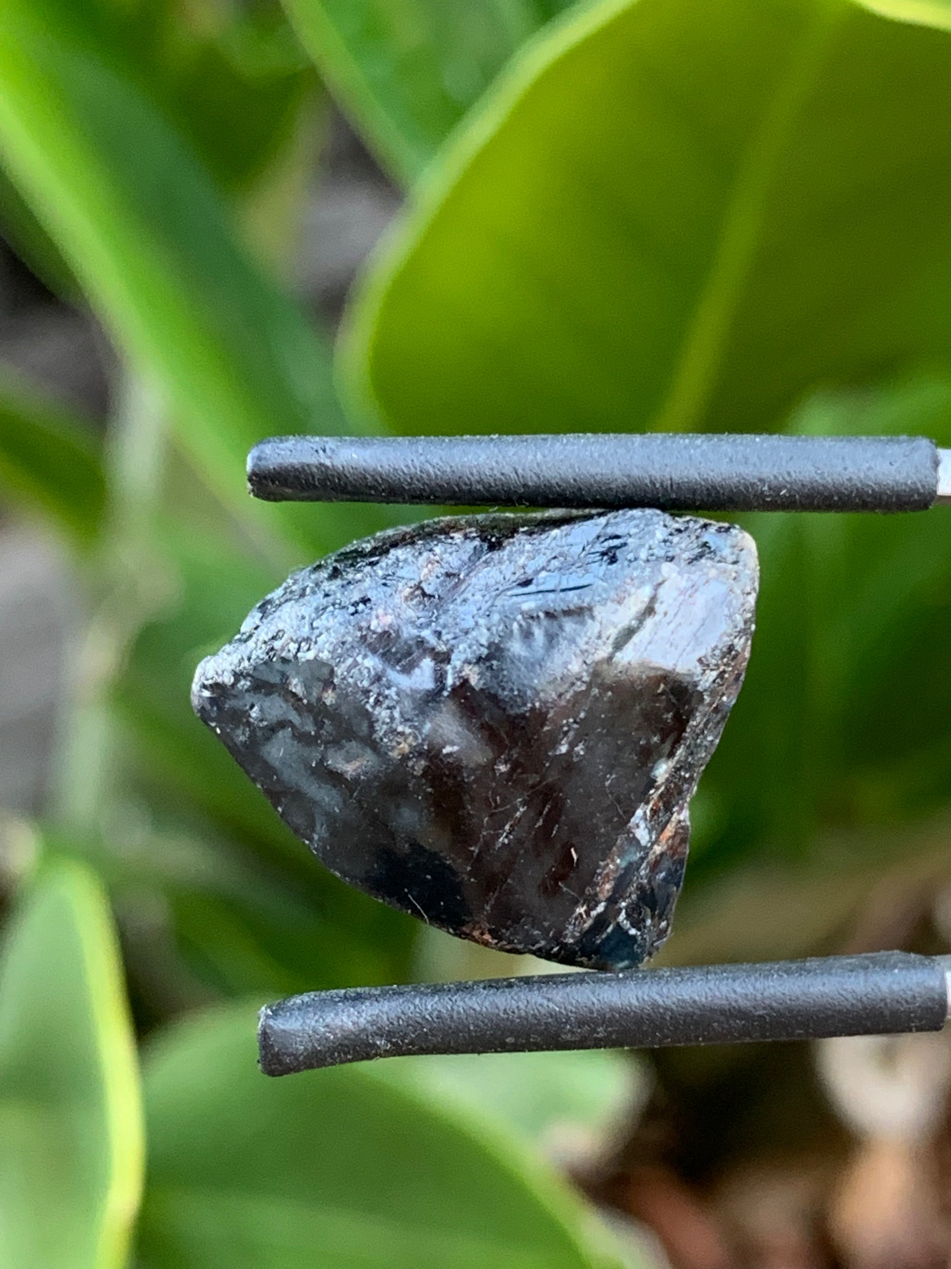 Australian Sapphire Specimen