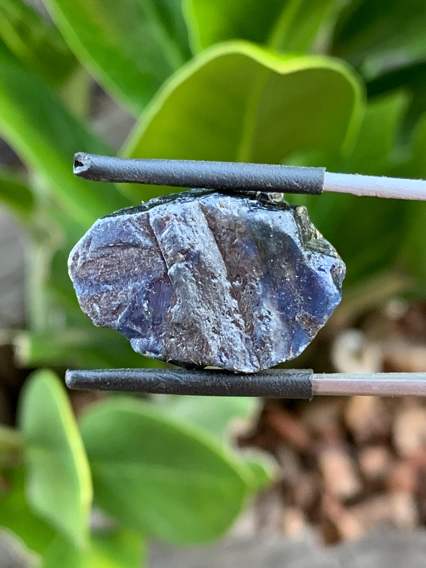 33.5t Australian Sapphire Specimen