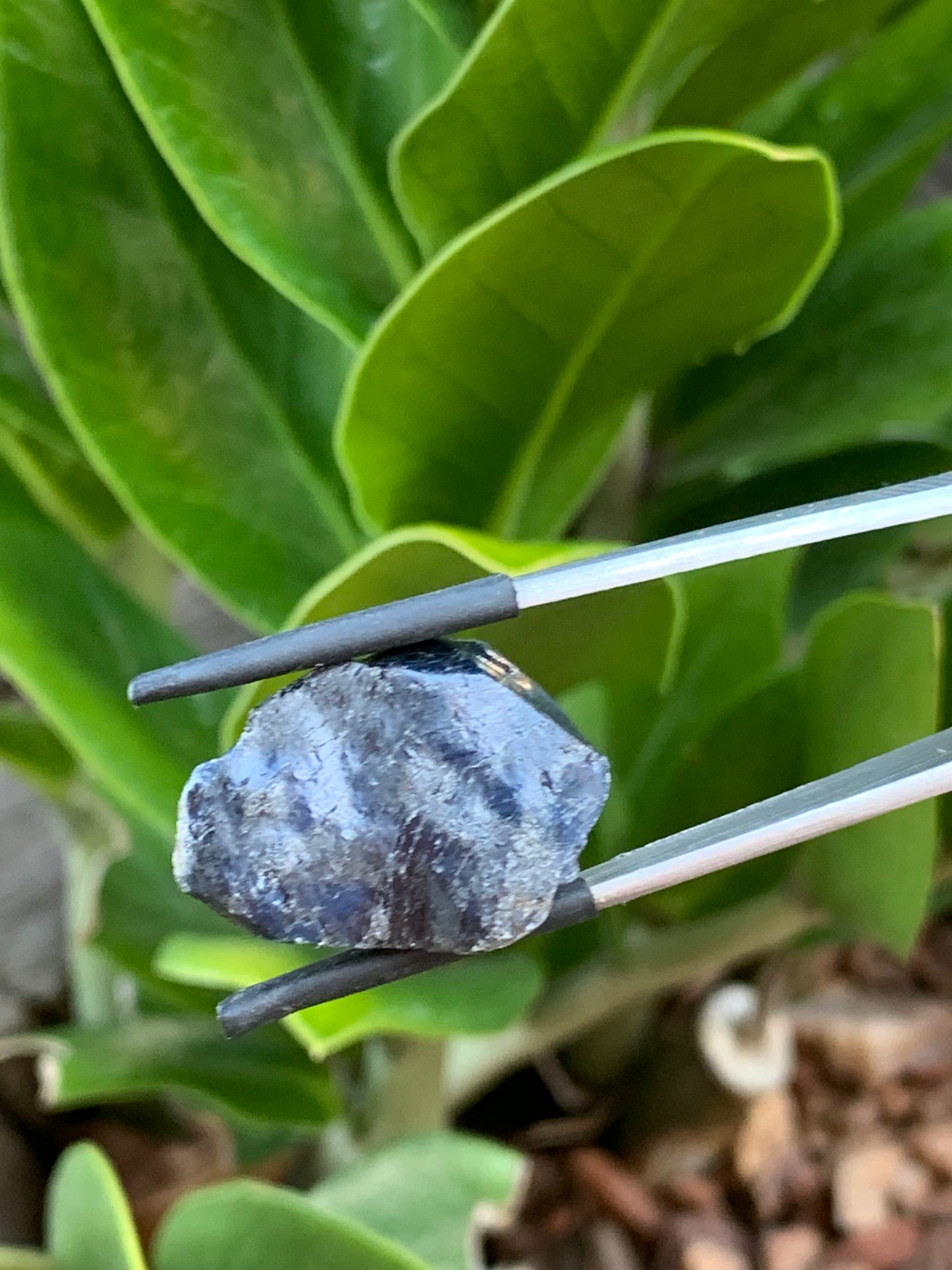 33.5t Australian Sapphire Specimen