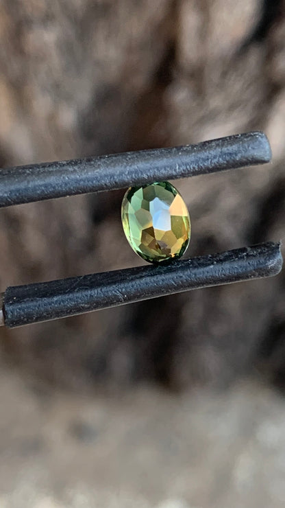 1. Natural Central Queensland sapphire 7.21mm oval green orange parti gemstone