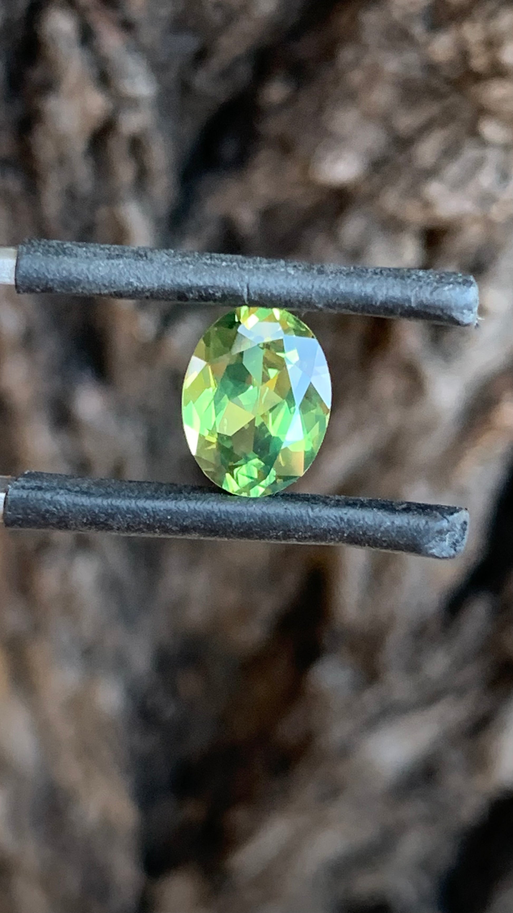 Oval Australian sapphire with vivid green and yellow colour from Central Queensland