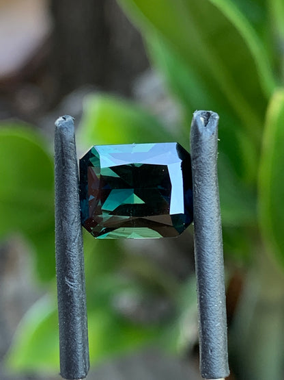 3.69ct Australian Parti Sapphire