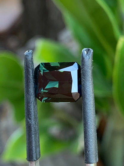 3.69ct Australian Parti Sapphire