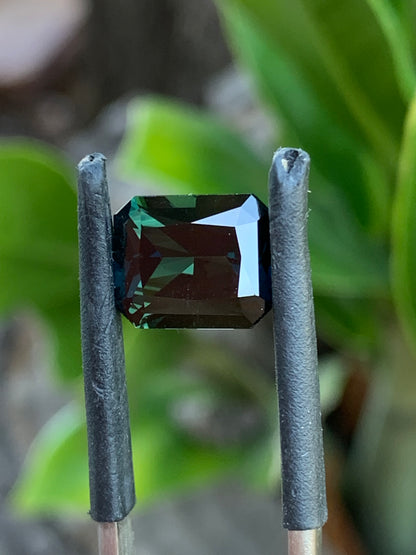 3.69ct Australian Parti Sapphire