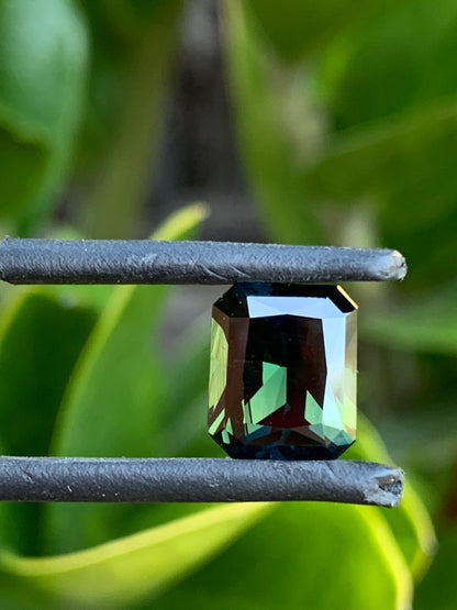 3.69ct Australian Parti Sapphire