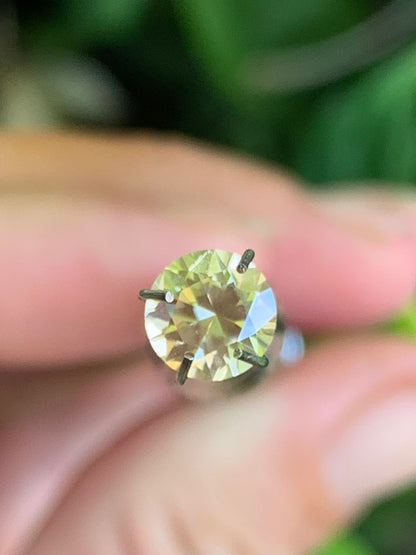 Betteridge Sapphires