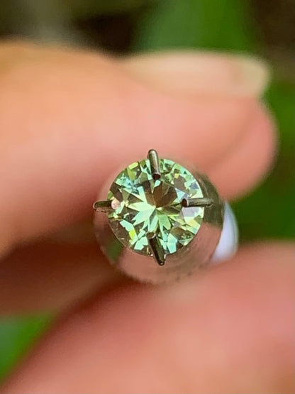 Betteridge Sapphires