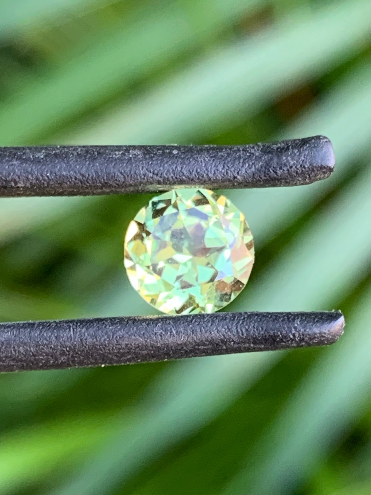 Australian Parti Sapphire