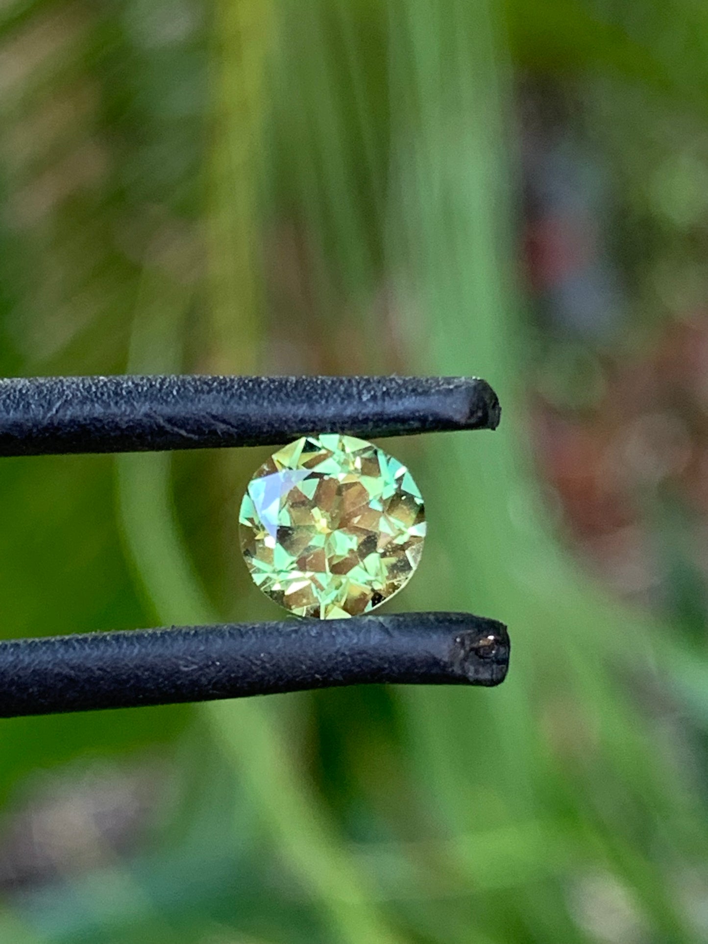 Parti Sapphire RIng
