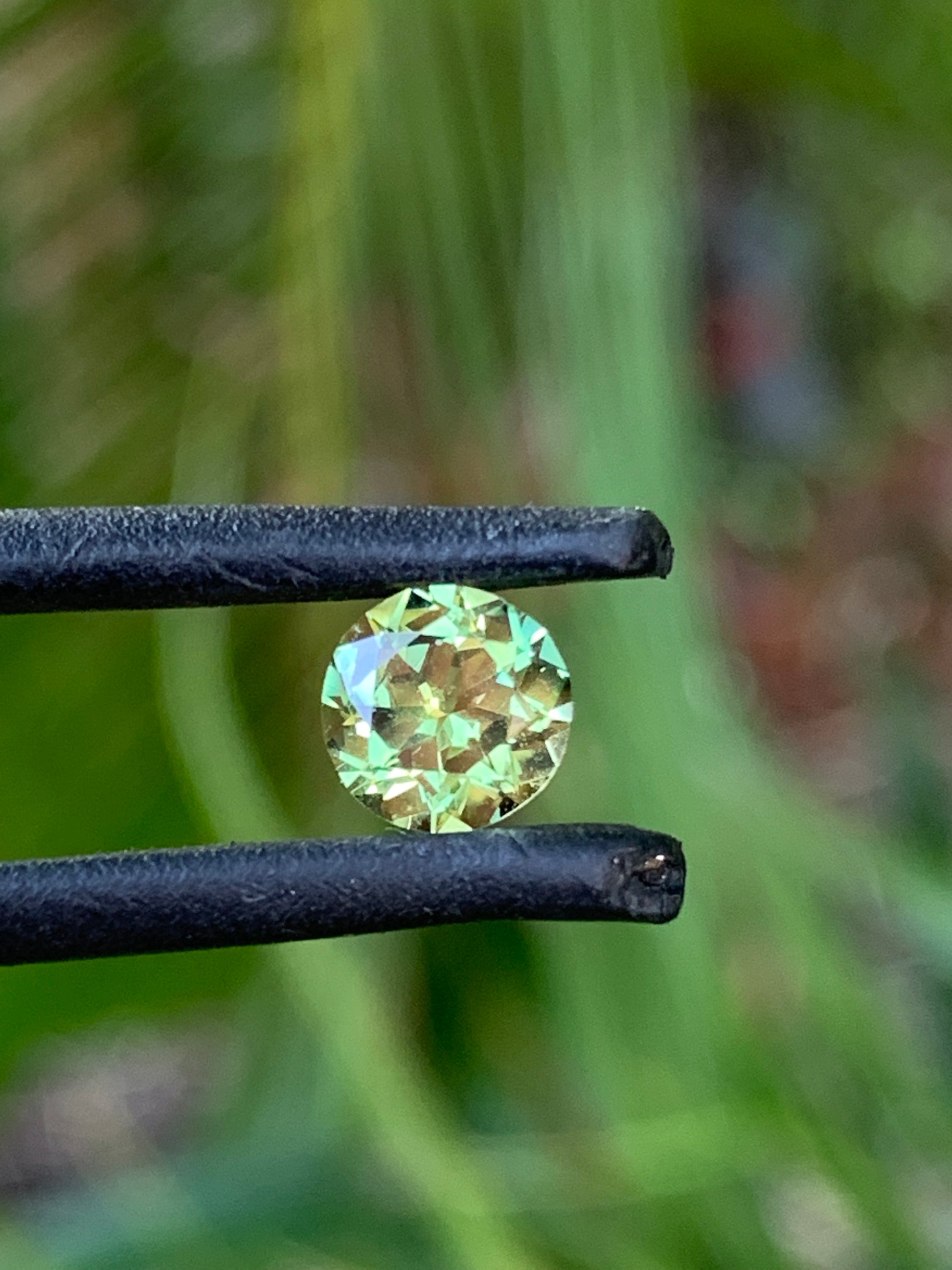Parti Sapphire RIng