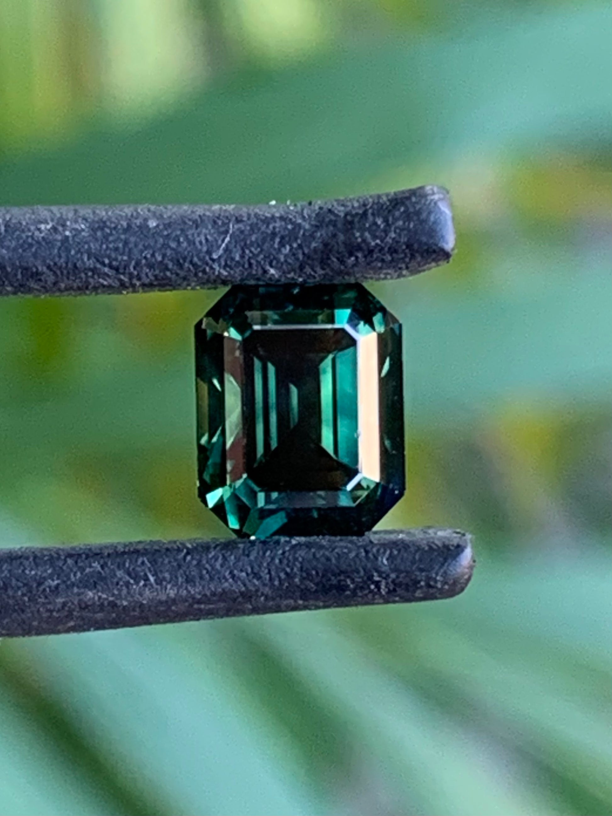 Parti Sapphire