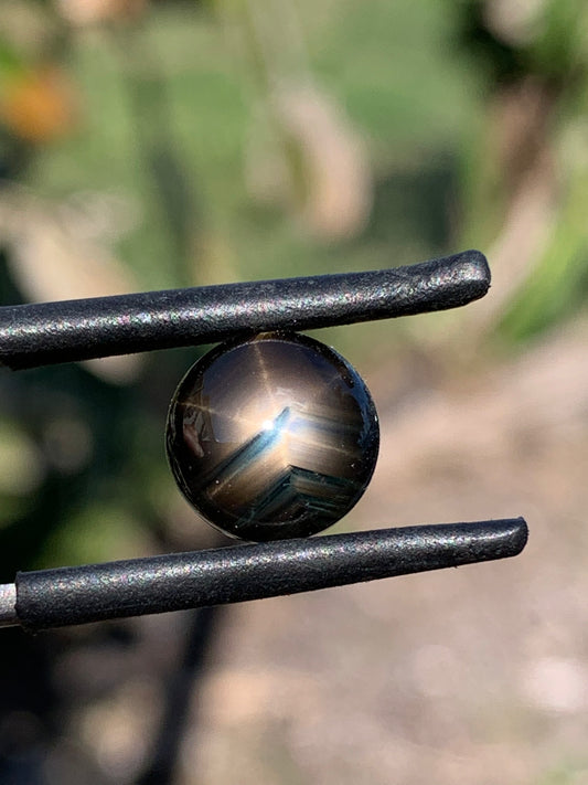 Gemfields Star Sapphire