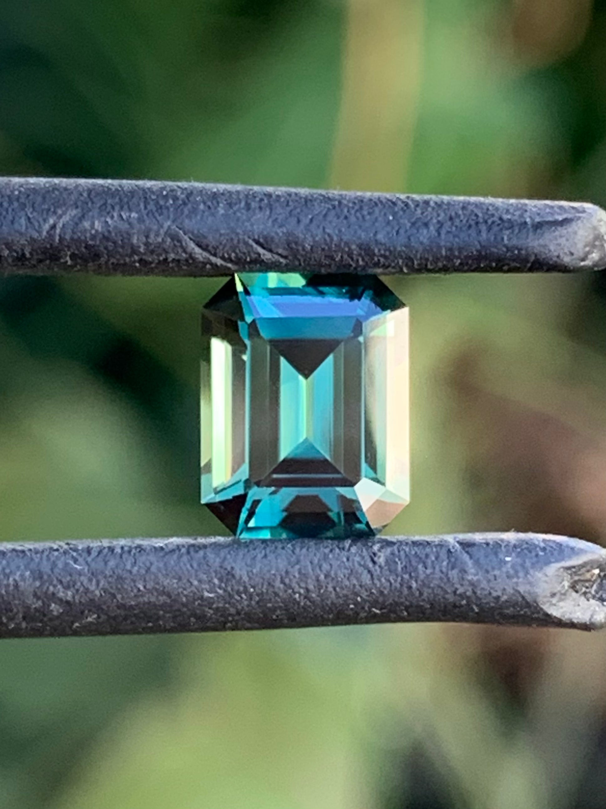 Teal Australian Parti Sapphire