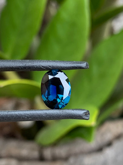 Australian Sapphire