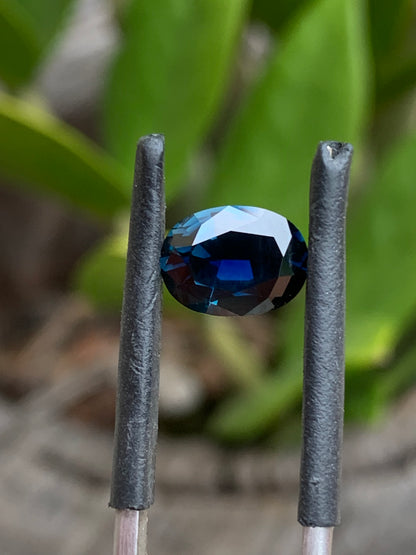 ethical Australian Sapphire 
