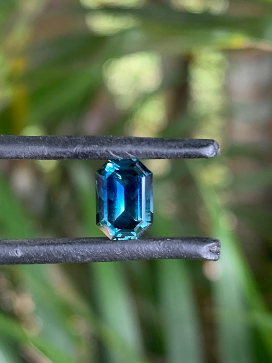 Parti Sapphire