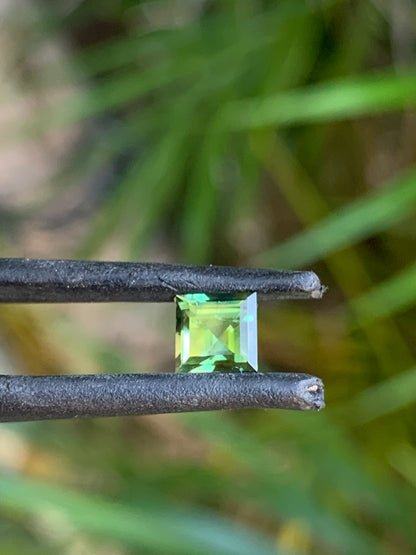 Australian Sapphire jewellery