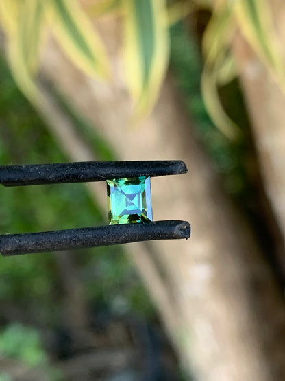 Australian Parti Sapphire 