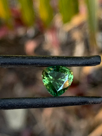 Anniversary Gift idea