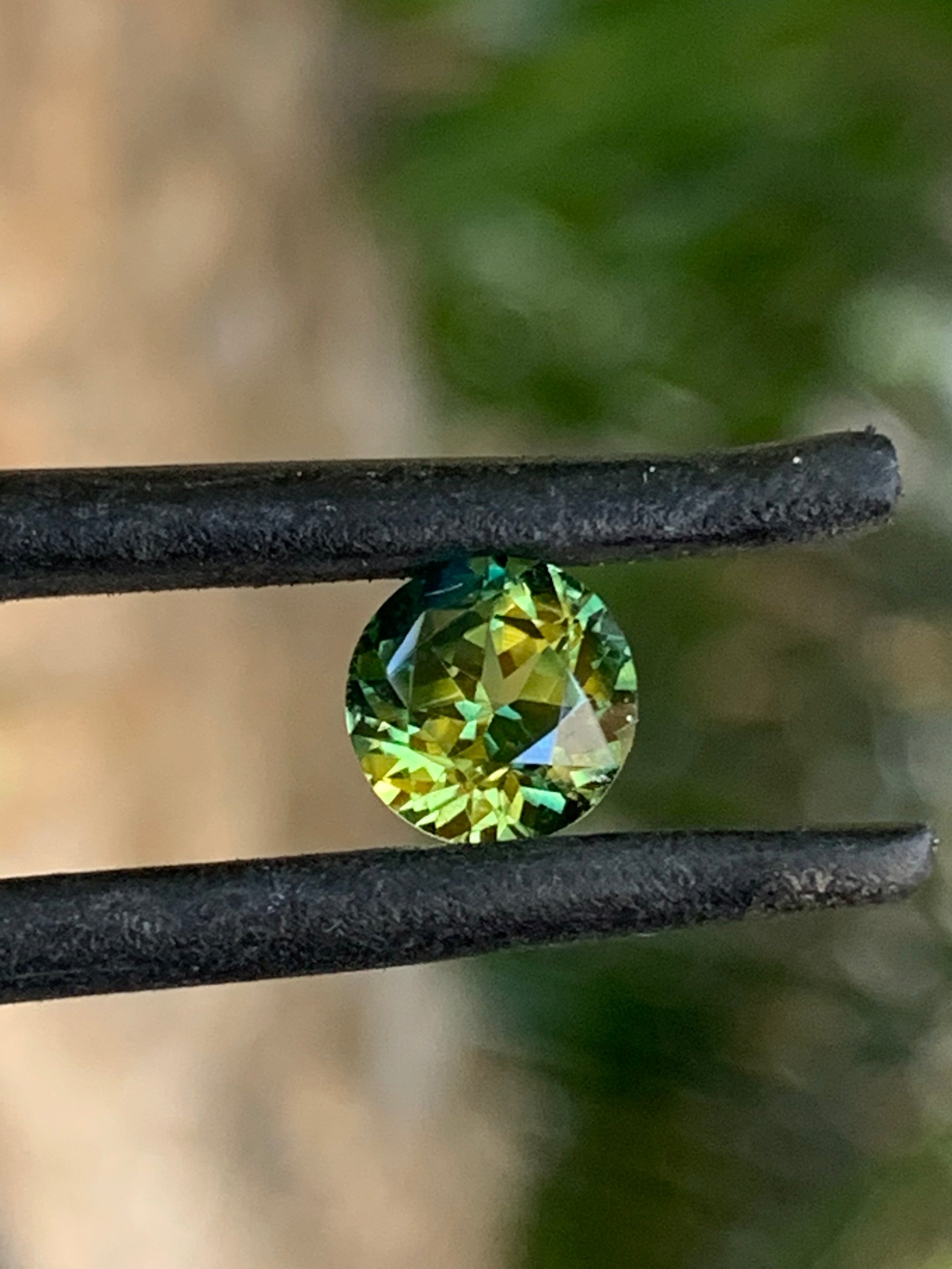 Wattle Parti Sapphire