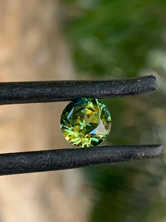 Wattle Parti Sapphire