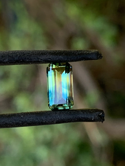 Australian Parti Sapphire 