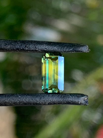 1.14ct Australian Parti Sapphire