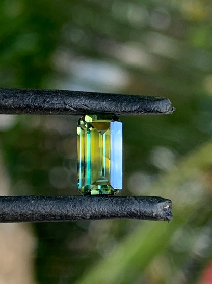 Australian Sapphire jewellery