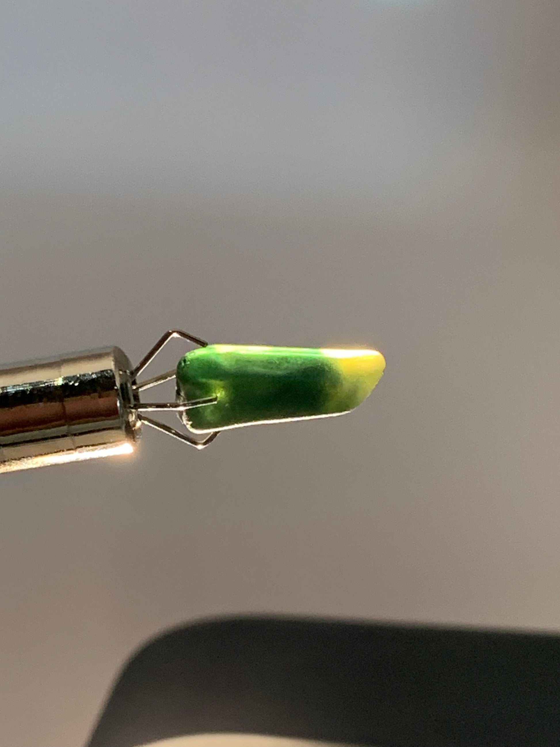 Dog Tooth Sapphire