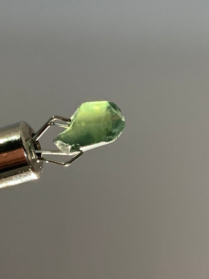 2.4ct Australian Parti Dog Tooth Sapphire Crystal