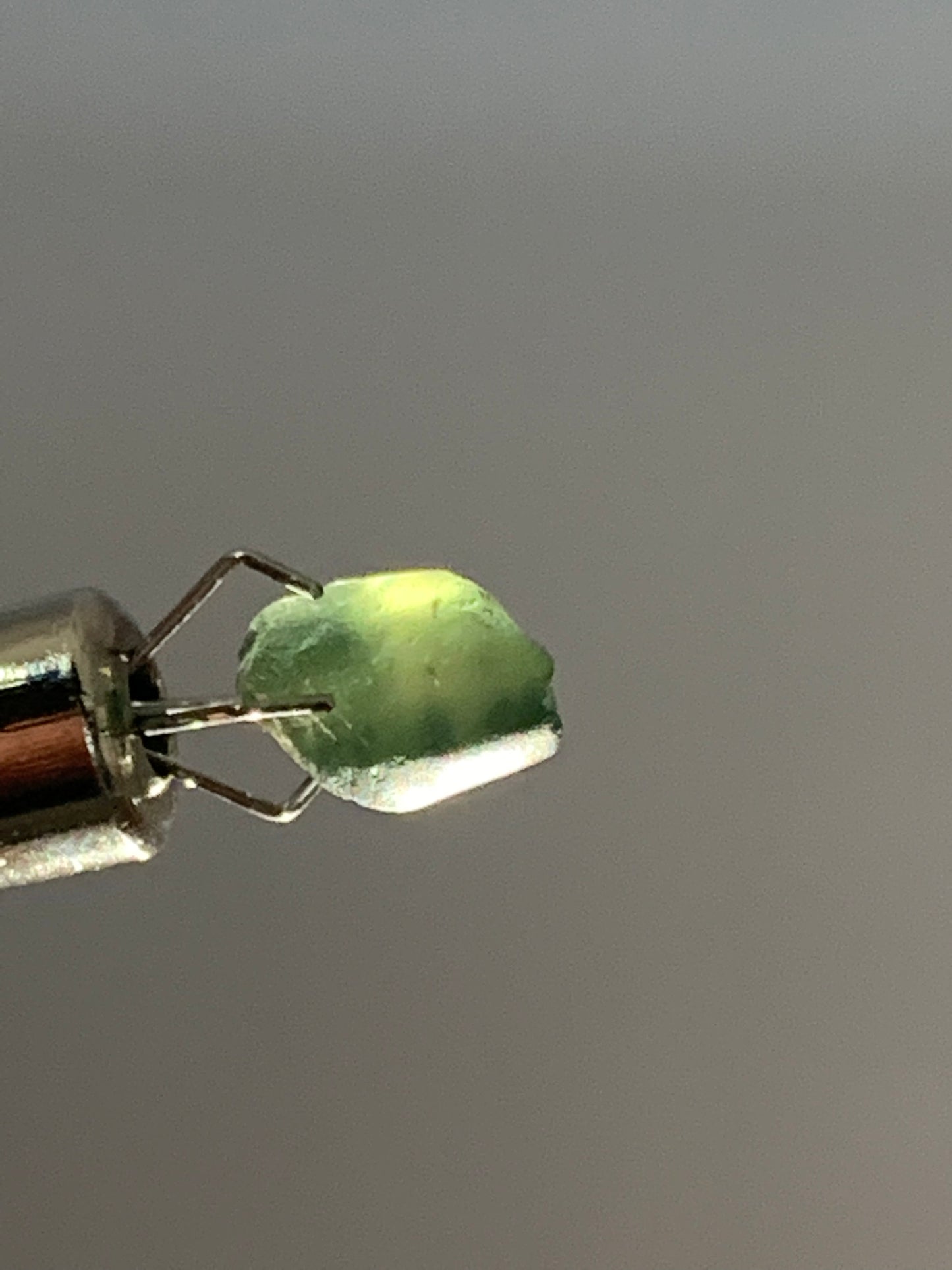2.4ct Australian Parti Dog Tooth Sapphire Crystal