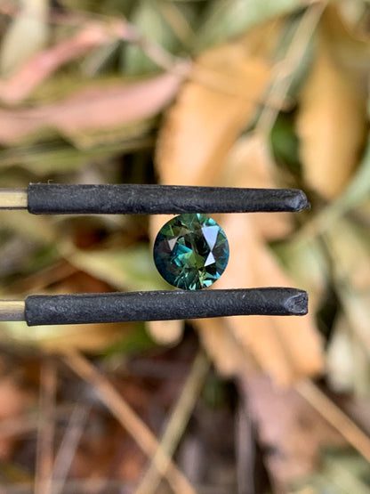 Central Queensland Sapphire