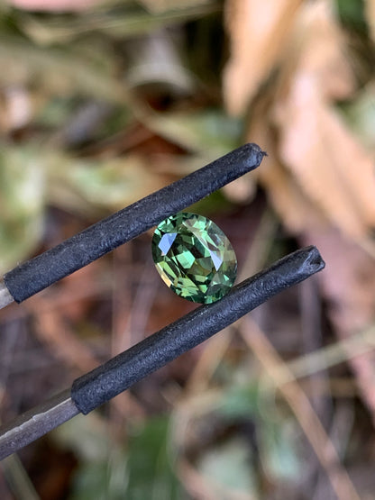 1.45ct Green Australian Sapphire