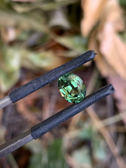 1.45ct Green Australian Sapphire