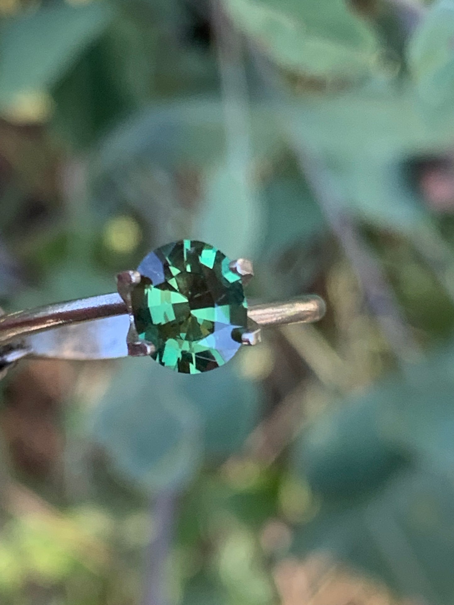 .81ct Light Green Australian Sapphire