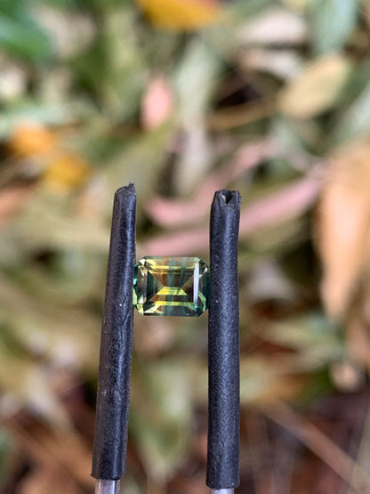 Rare Australian Sapphire 