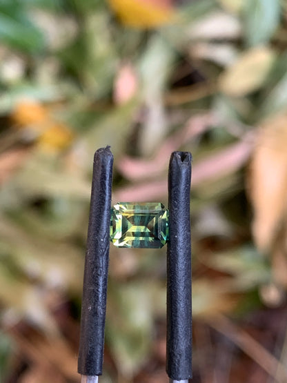 Central Qld Australian Sapphire 